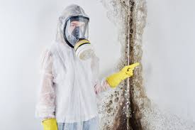 Best Mold Prevention Services  in USA